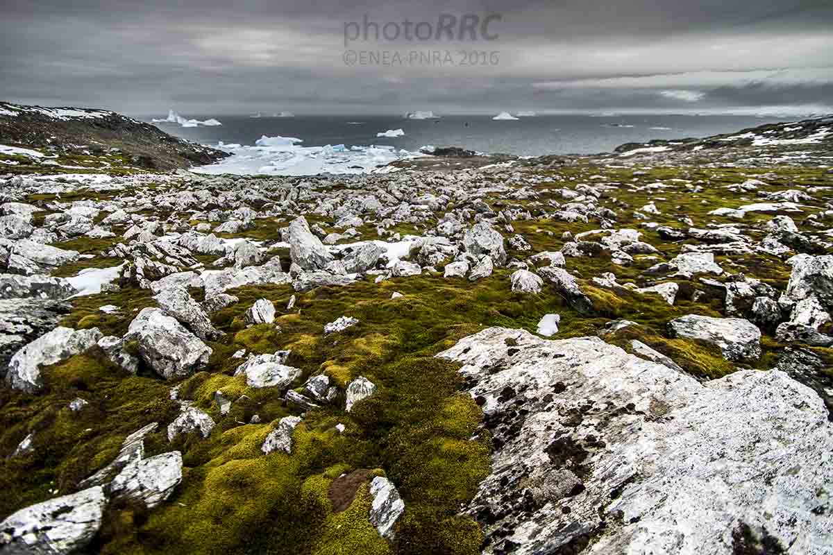 permafrost-subantarctic