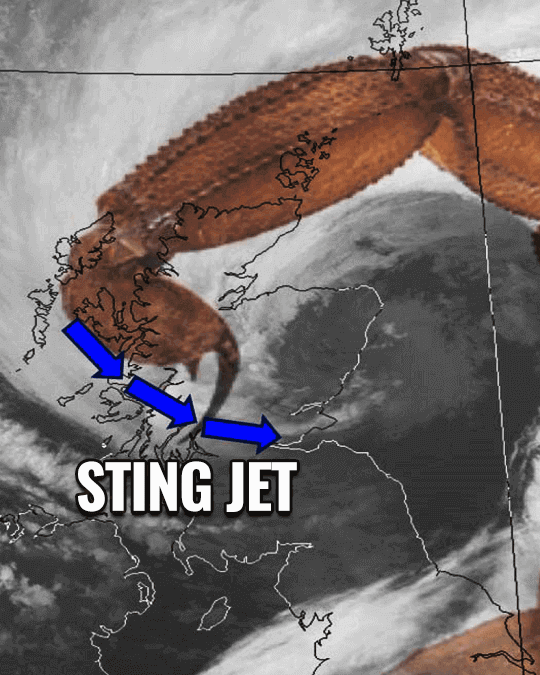 what is sting jet